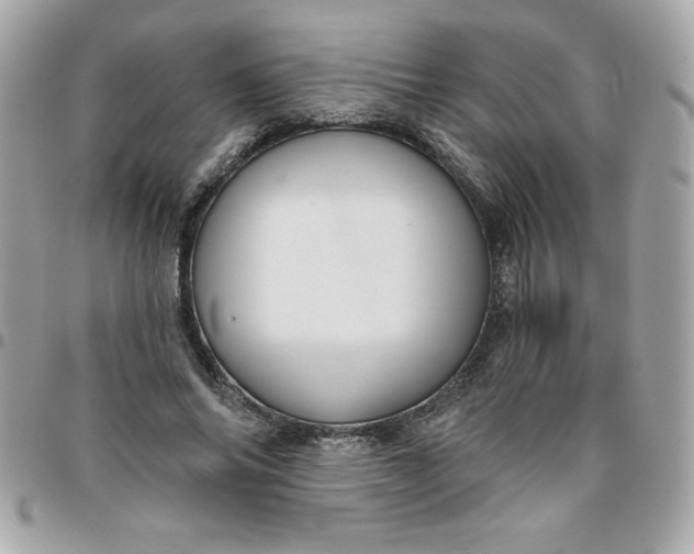 X0000096470686200802071857