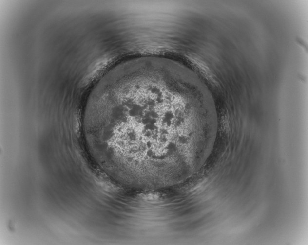 X0000096470687200802071857