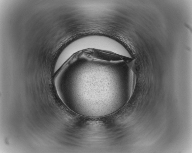 X0000096470689200802071857