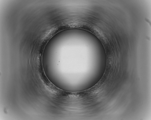 X0000096470690200802071857