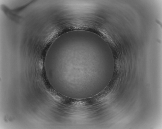 X0000096470691200802071857