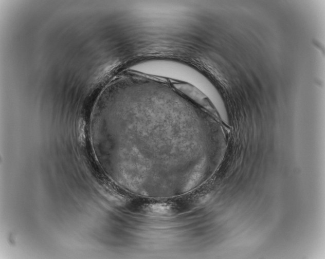 X0000096470692200802071857