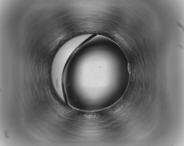 X0000096470693200802071857