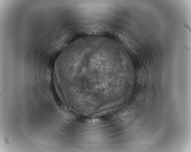 X0000096470695200802071857