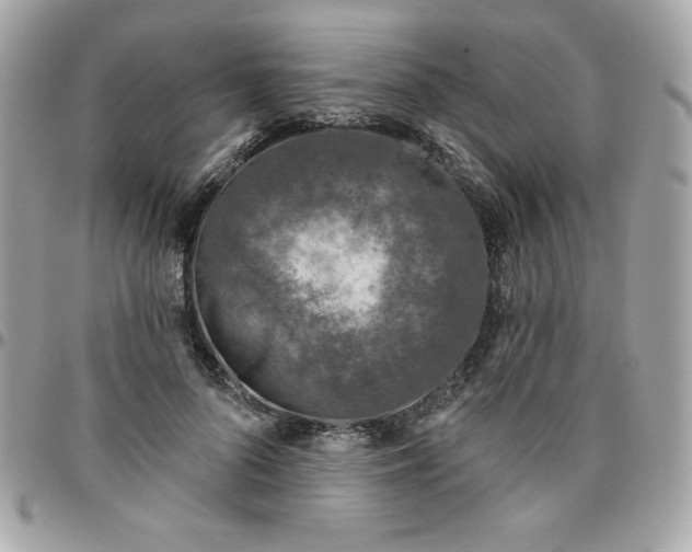 X0000096470696200802071857