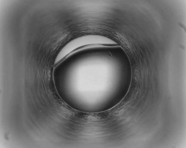 X0000096470697200802071857