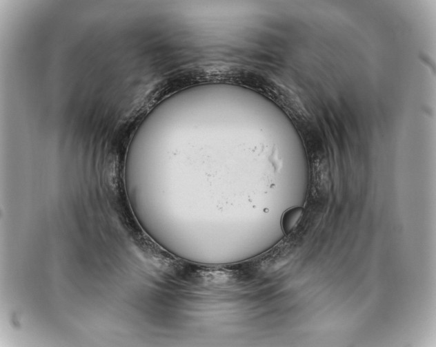 X0000096470698200802071857