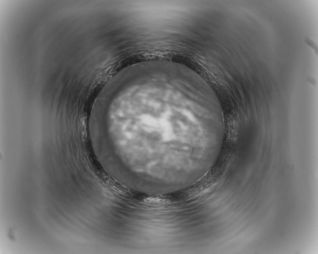 X0000096470699200802071857