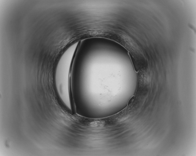 X0000096470700200802071857