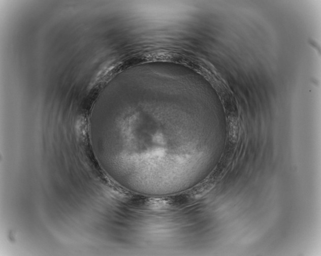 X0000096470701200802071857