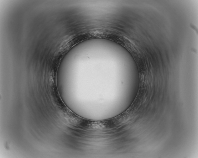 X0000096470702200802071857