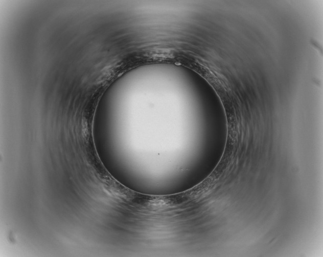 X0000096470704200802071856