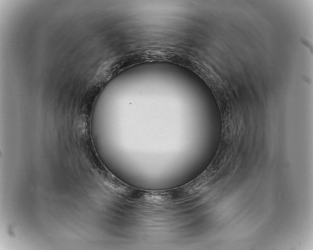 X0000096470706200802071856