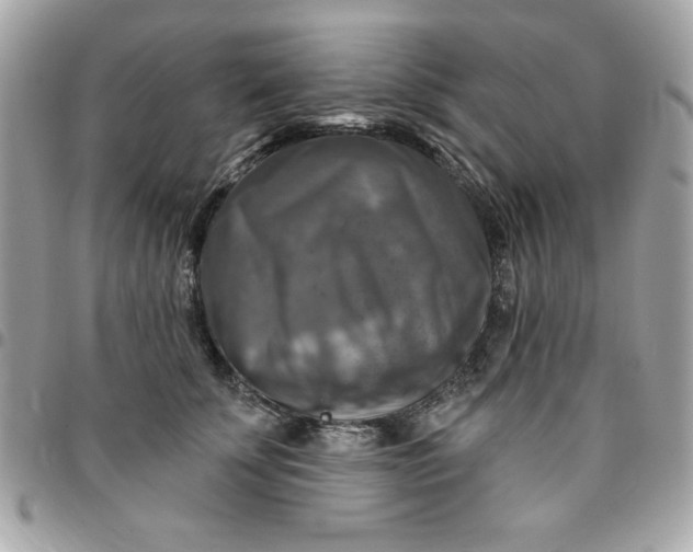 X0000096470707200802071856