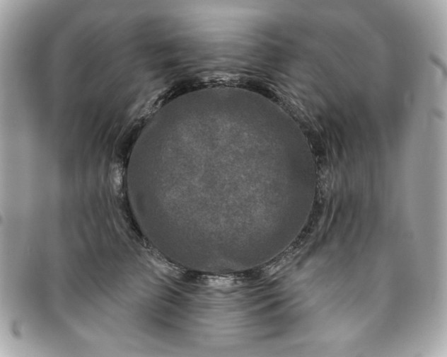 X0000096470709200802071856