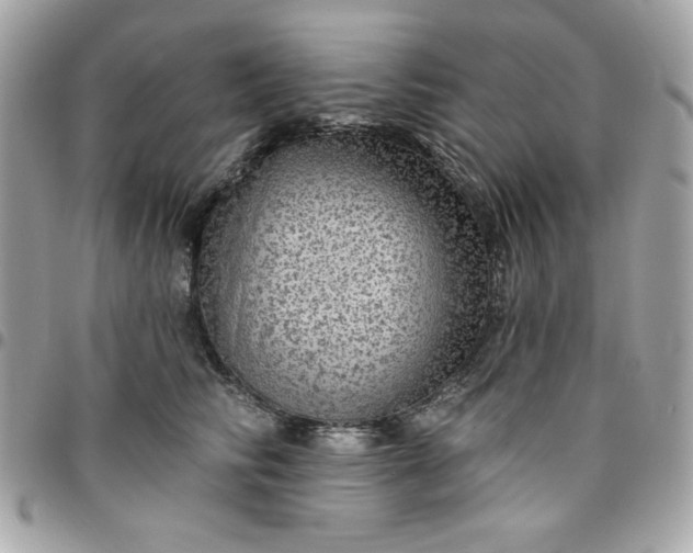 X0000096470710200802071856