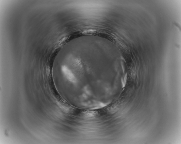 X0000096470711200802071856