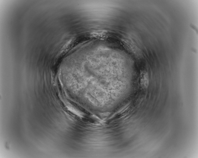 X0000096470712200802071856