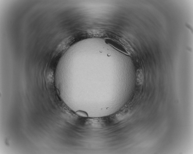 X0000096470713200802071856