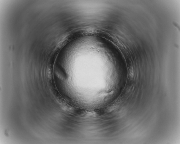 X0000096470715200802071856