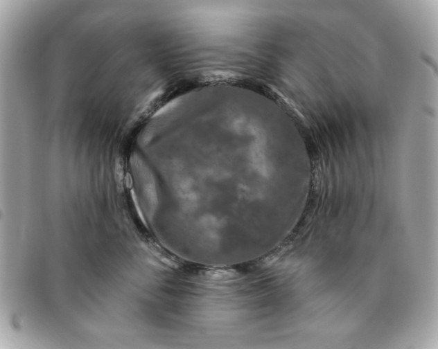 X0000096470716200802071856