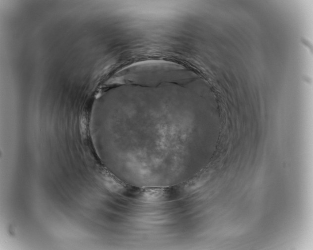 X0000096470720200802071856