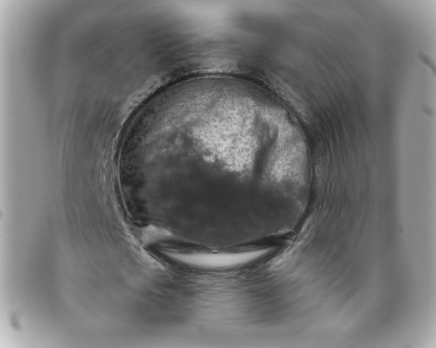 X0000096470721200802071856