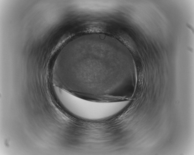 X0000096470722200802071856