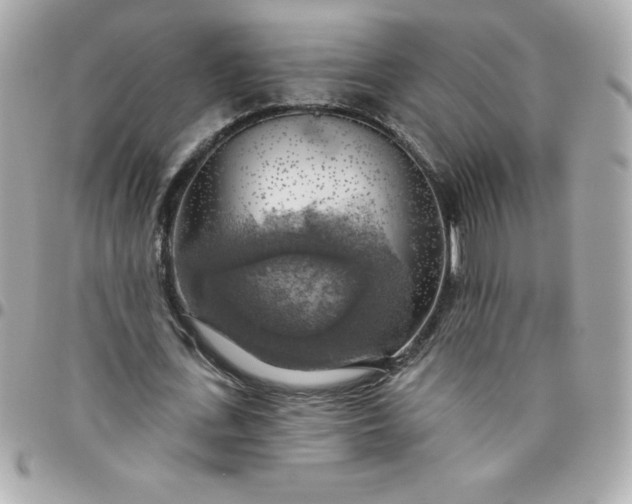 X0000096470723200802071856