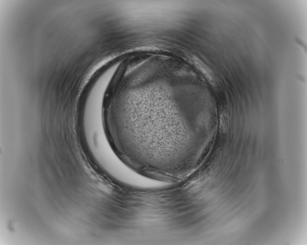 X0000096470724200802071856