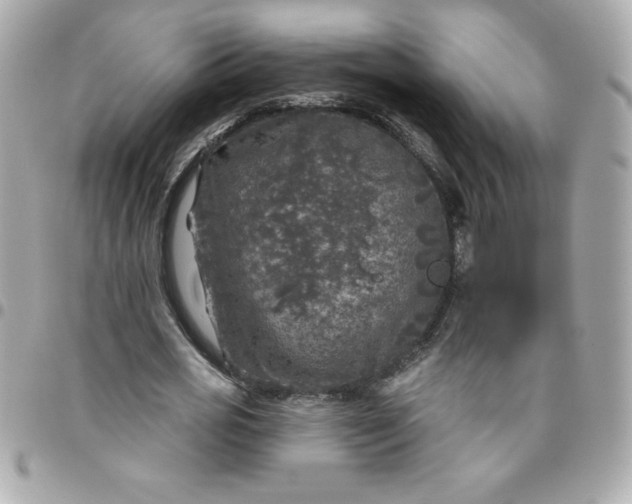 X0000096470725200802071856