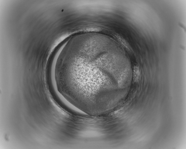 X0000096470726200802071856