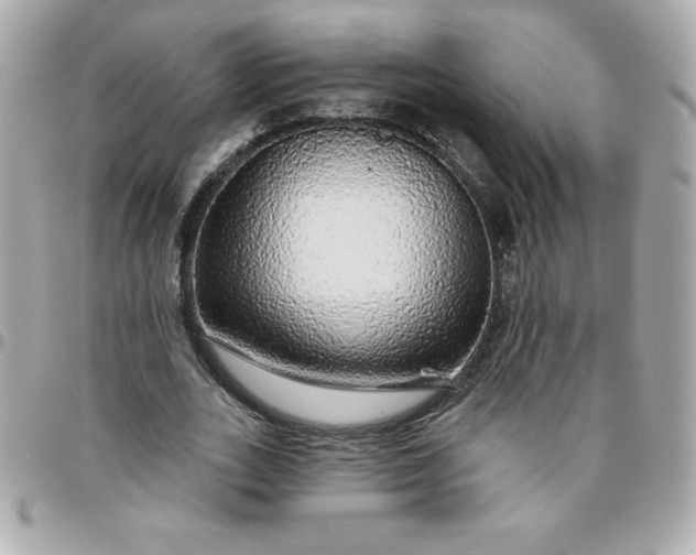 X0000096470727200802071856