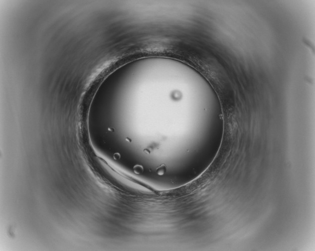 X0000096470728200802071856