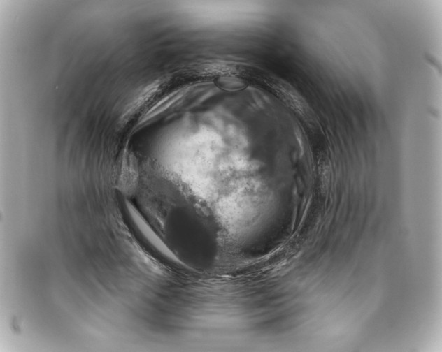 X0000096470729200802071856