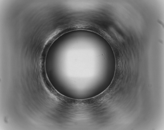 X0000096470730200802071856