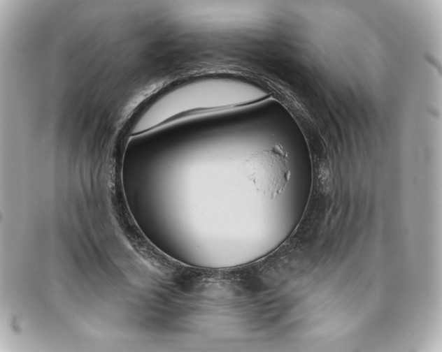 X0000096470732200802071856