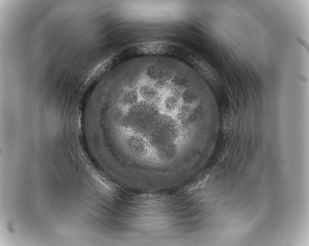 X0000096470733200802071856