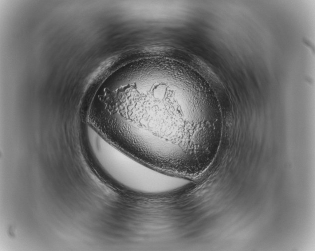 X0000096470734200802071856