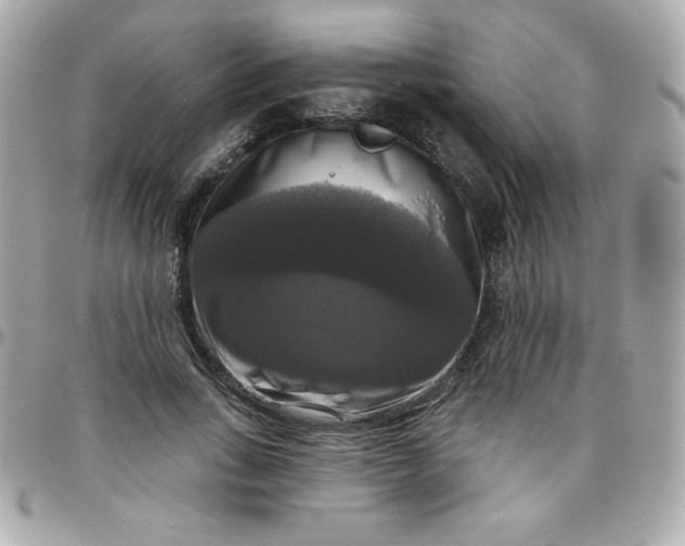 X0000096470735200802071856