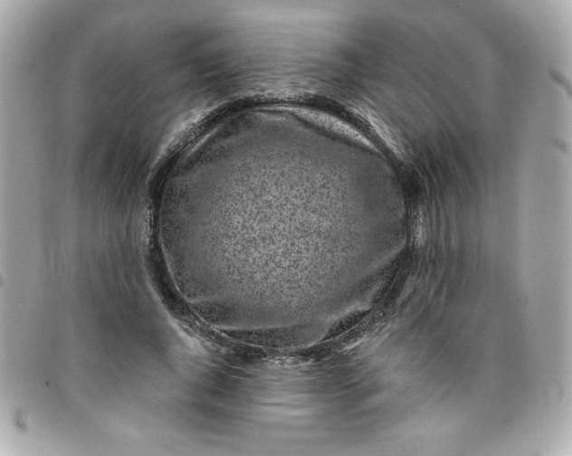 X0000096470736200802071856