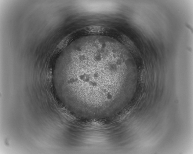 X0000096470737200802071856