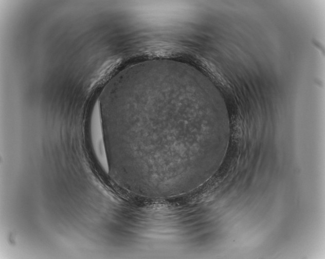 X0000096470738200802071856