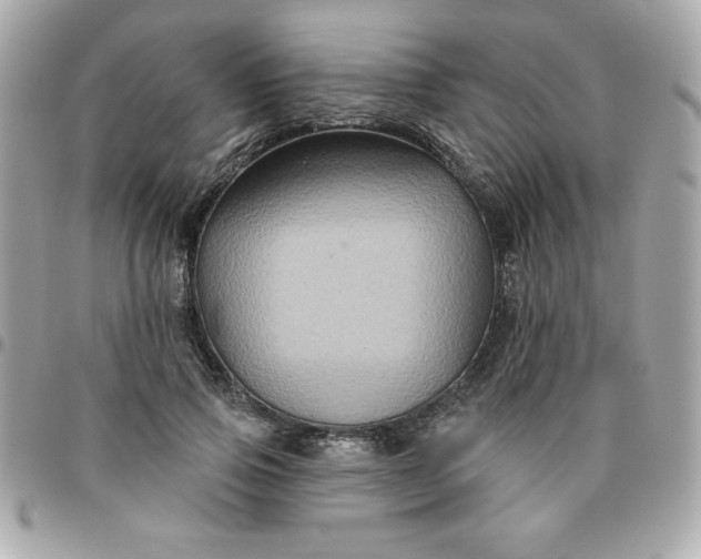 X0000096470741200802071856