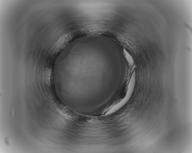 X0000096470742200802071856