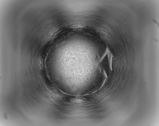 X0000096470743200802071856