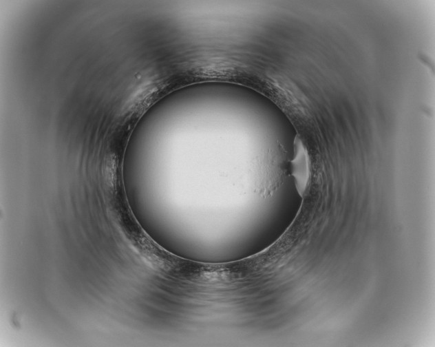 X0000096470744200802071856