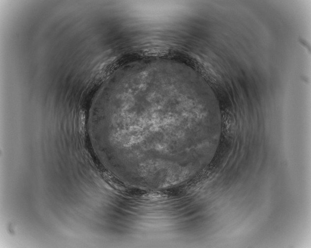 X0000096470745200802071856