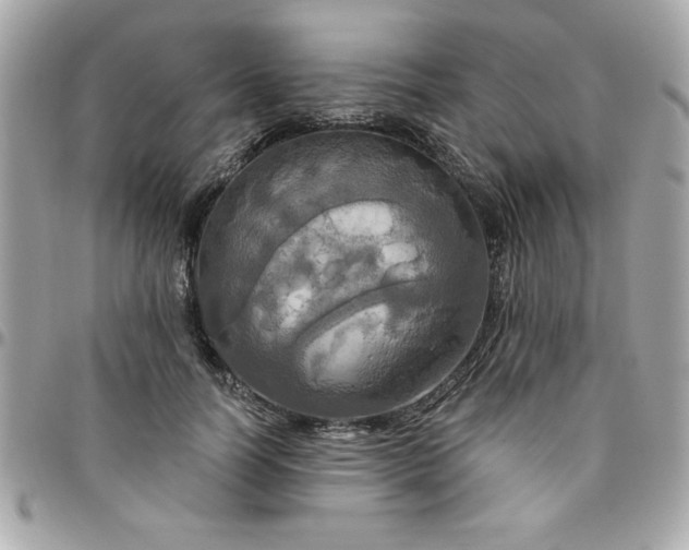 X0000096470746200802071856