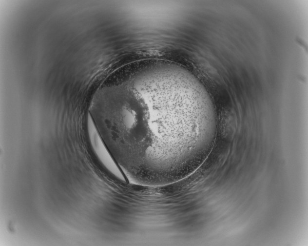 X0000096470747200802071856